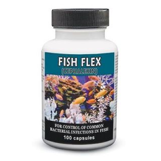 250mg Fish Flex Cephalexin antibiotic aquarium aeromonas pseudomonas 