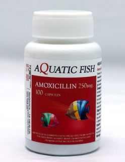 AMOXICILLIN 250mg AQUATIC FISH 100 COUNT ANTIBIOTIC