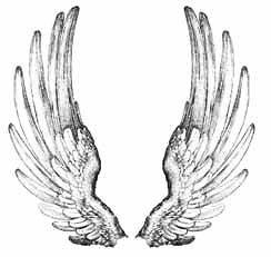 angel wings in Stamping & Embossing