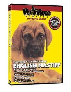 ENGLISH MASTIFF ~ Puppy ~ Dog Care & Training DVD BONUS