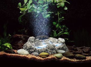 aquarium decorations in Aquarium & Fish