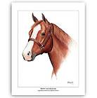 HORSE PORTRAIT Paint Pinto War Pony EQUINE ART Western ORIGINAL Horses 