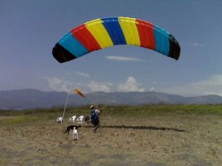Used APCO Prisma Paraglider, beginner glider in great shape PG & PPG