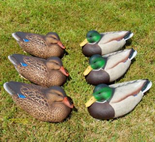 Sporting Goods  Outdoor Sports  Hunting  Decoys