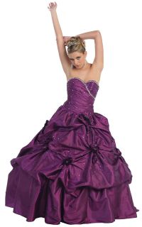 Formal Quinceanera Dress Special Occasion Debutante Prom Princess Ball 