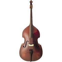 double bass in String