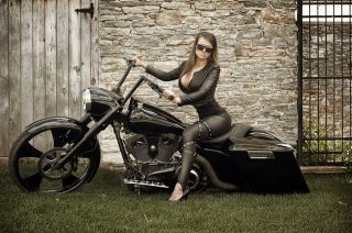 Harley davidson part in Motorcycle Parts