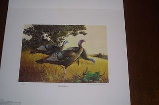 1978 NWTF Wild Turkey Print w/ Stamp by Richard E. Amundsen #11
