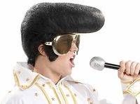 Mens Oversized Elvis Wig Halloween Holiday Costume Party Accessory 