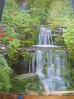 1992 Verkerke Rock Garden Cascades Alberta Canada vintage wall poster 