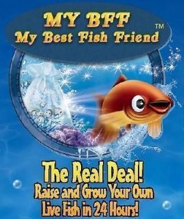   Fish Friend Magic In A Jiff Pet BFF As Seen On TV Kids Educational Toy