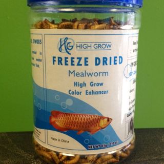 Freeze Dried Mealworms 85g Arowana, Jardini, Flowerhorn Fish Food