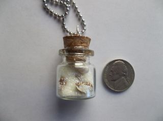 Chunky Sea Shells Beach Sand Glow In The Dark Charm Glass Bottle 
