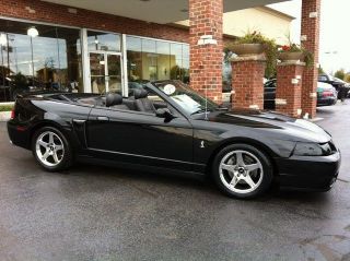 Ford  Mustang Cobra Whippl 04 COBRA CONVERTIBLE WHIPPLE SUPERCHARGED 