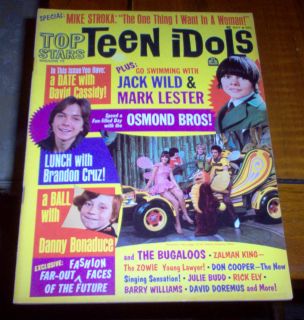 Teen Idols Magazine 1971 David Cassidy Donny Osmond Brothers Mike 