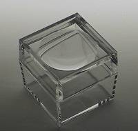 Acrylic Box with 3X Magnifier Cover Bug Box Set of 10