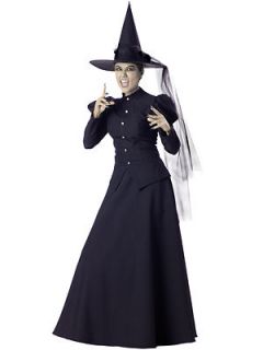 classic WITCH elite wicked elphaba adult womens halloween costume 