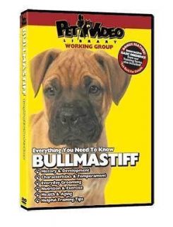 BULLMASTIFF ~ Puppy ~ Dog Care & Training DVD New BONUS