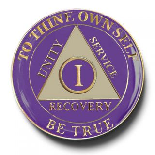YRS 1 45 Purple&Ivory AA Anniversary Recovery Coin/Medallion