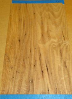 Wormy Chestnut wood veneer 8 x 13 with no backing (raw veneer)