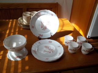 Arcopal France Florentine Dish Set ~ 11 Pieces ~ Plates Bowls Cups