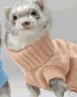 marshall ferret in Small Animal Supplies