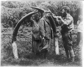   ,White woman hunter,elephant tusks,African Native,man,ammunition,1907