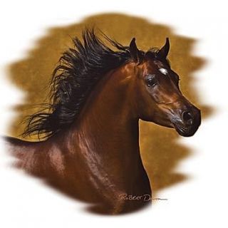 ARABIAN DARK RED / BLACK MANE ARABIAN ARAB HORSE T SHIRT S M L XL 