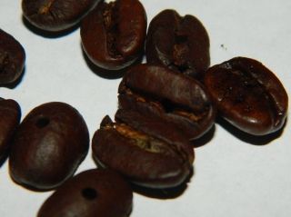 Coffee Bean Beads. Each bean is hand drilled. GREAT FOR ECO JEWELRY 