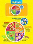 MY PLATE Food Groups Health Nutrition Educational Poster Chart CTP NEW