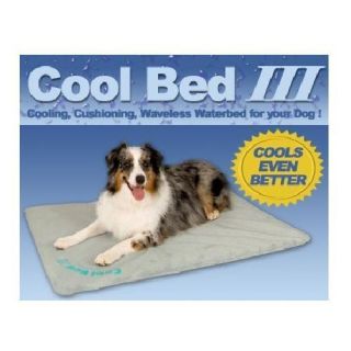 COOL BED III CANINE COOLER MEDIUM DOG BED 22X32