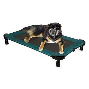 Elevated Pet Cot Dog Cat Bed Large XL Capacity 75 lbs Moss Green NEW