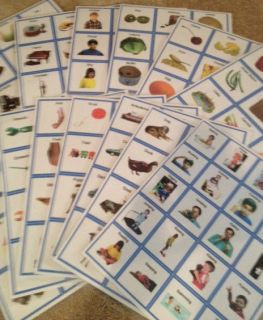 Vocabulary Binder Speech Therapy   all common vocab categories w 