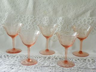   stemware etched glass wine glasses (5) collectible home decor
