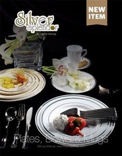 500 Pc Plastic China Plate Silverware Combo for 100 Reflection 