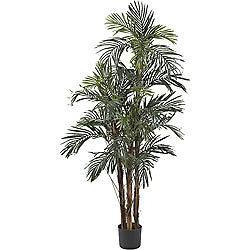 Robellini Palm Silk Tree in Green   Nearly Natural   5283