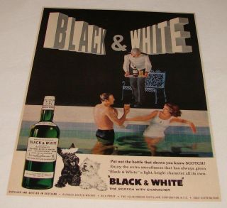 1963 Black+White Scotch ad~ Scottie Dogs, Swimming Pool