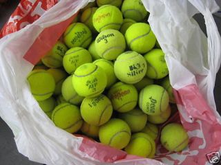 50 Used Tennis Balls, Dog Toys , ball machine, practice drills