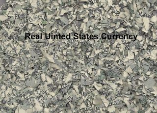 shredded (money,dollars,currency) in Paper Money US