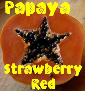 STRAWBERRY RED PAPAYA Hybrid Sunset SOLO Papaya 50 SEEDS YUMMY UH 