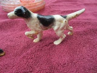 Collectibles  Animals  Dogs  English Setter