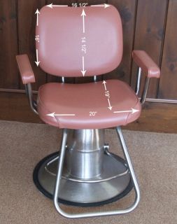   Beauty Salon Beautician Barber Shop Hydraulic Styling Chair Mauve EUC