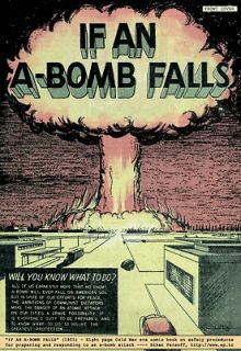 BUILD A FALLOUT SHELTER   Nuclear Books/Films on CD