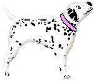 34 balloon DALMATIAN DOG party PINK COLLAR favors NEW puppy 101 