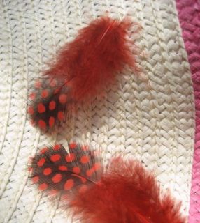 50pcs red Guinea Fowl Spotted Feathers 2 5Inches