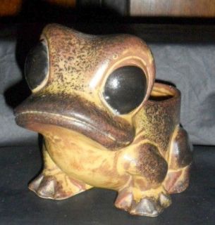 Frog Planter Big Dark Eyed Goofy Frog Ceramic Planter