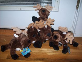   Webkinz Reindeer Some New Stuffed Beanie Animal Christmas Moose Winter