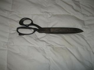 Antique Solingen Germany Taylor Scissors Great Rare Find #KV