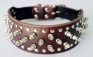 BROWN 2inch Spiked Studded Leather dog collars pitbull German Shepherd 