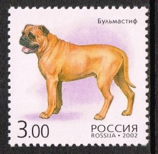 Russia 2002 SG7084 4r. Brazilian Mastiff Dog / Fila Brasileiro Dog 
